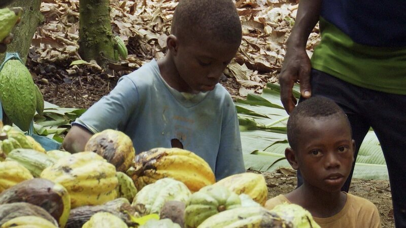 Viele Bauern sind gezwungen, ihre Kinder auf den Farmen mitarbeiten zu lassen, um ihre Familien erhalten zu können. – Bild: ORF