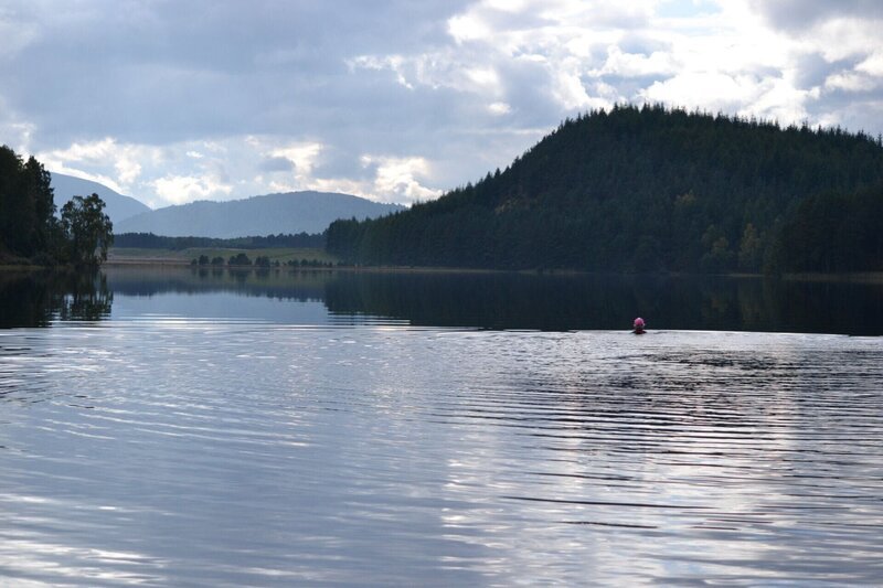 See +++ – Bild: RTL /​ (c) c-o Plimsoll Productions /​ Wasserwelten