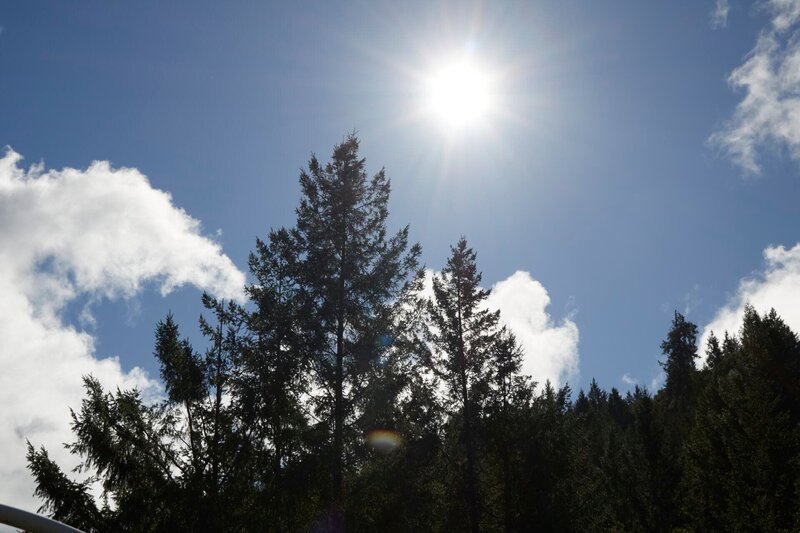Garret Rodriguez zieht nach Humboldt County, Kalifornien, um auf einer Marihuana-Farm am Murder Mountain zu arbeiten. – Bild: OTF /​ © Crime + Investigation /​ OTF