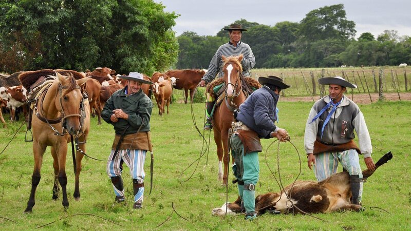 Gauchos bei der Arbeit auf der Estancia San Juan de Poriahú in Argentinien. – Bild: ZDF /​ SRF