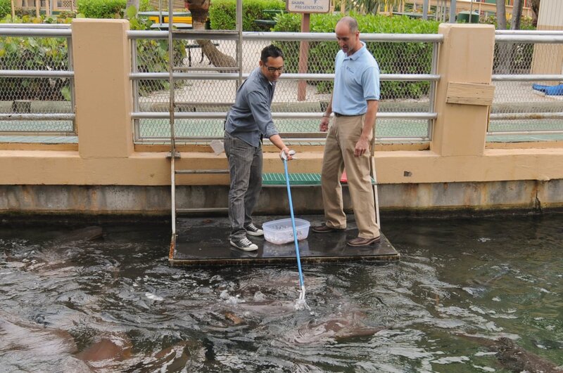 Trevor and Francis with net while Francis tries to catch shark. – Bild: Christina Mendenhall