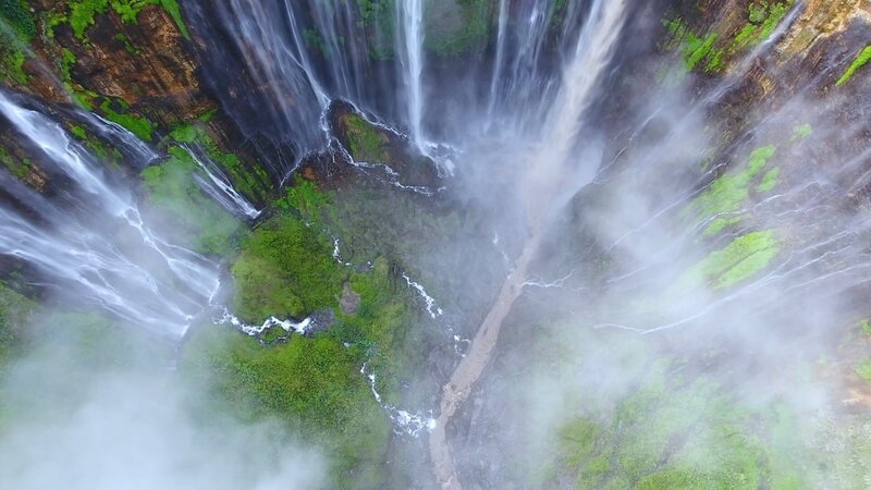 Das tropische Indonesien gilt als Hotspot der Artenvielfalt. – Bild: ZDF und Getty Footage