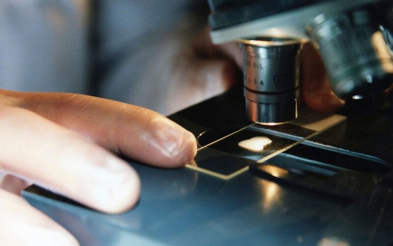 Die forensische Untersuchung – Bild: zdf /​ © 2020 Partners in Motion Inc. /​ zdf /​ Crime + Investigation