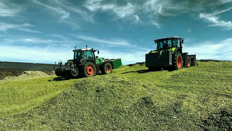 Bild: DMAX