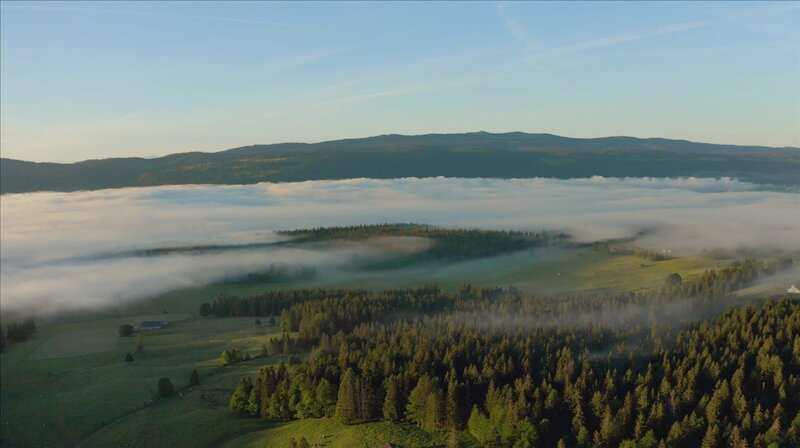 Juraweiden und Risoud-Wald. – Bild: SRF/​doc.station /​ ZDF und SRF/​doc.station