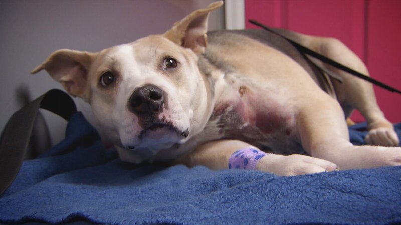 . – Bild: Warner Bros. Discovery