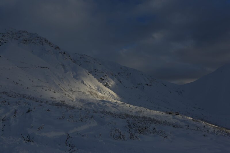 Die ersten Anzeichen des kommenden Winters mehren sich. Für die frisch nach Alaska gezogenen Abenteurer bedeutet das: Sie müssen mit den Vorbereitungen für die kalte, dunkle Jahreszeit beginnen. – Bild: National Geographic/​Simeon Houtman /​ National Geographic /​ Simeon Houtman