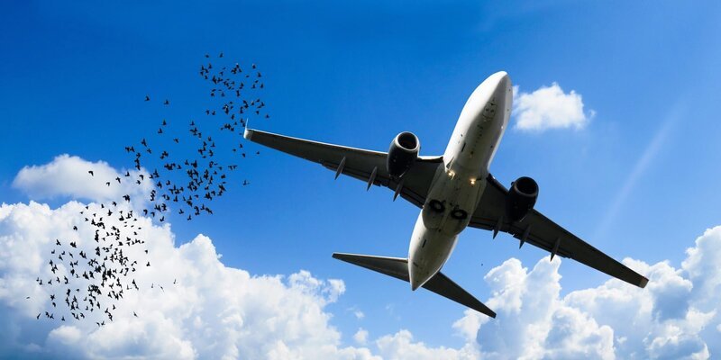 plane – Bild: CC0 Creative Commons