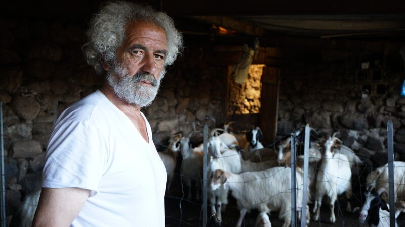 Pferde im Sturm – Bild: 3sat