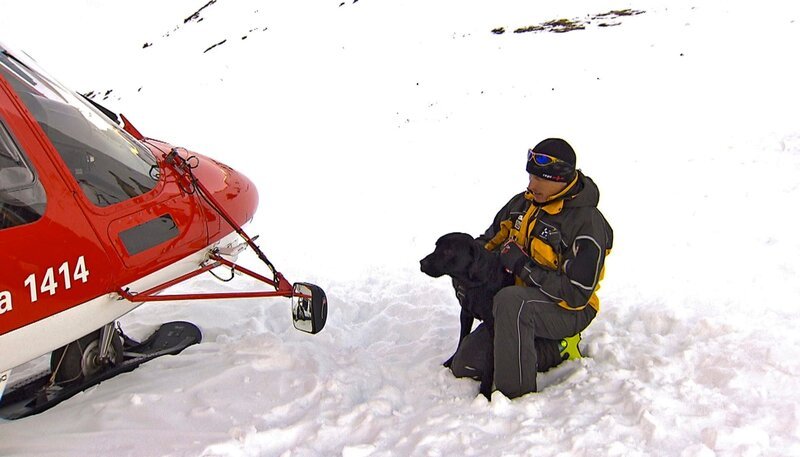 Hochleistungseinsatz in den Schweizer Alpen: Die beiden einjährigen Lawinenhunde Cami und Spike lernen heute in einen Helikopter einzusteigen und mit ihm zum Einsatzort zu fliegen. – Bild: NDR/​5ǀ14 FILM