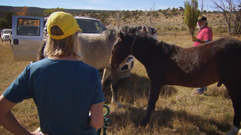 . – Bild: Warner Bros. Discovery