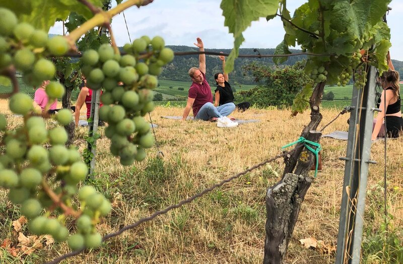Tobias Kämmerer beim Wein Yoga. – Bild: HR/​Manon Baehr