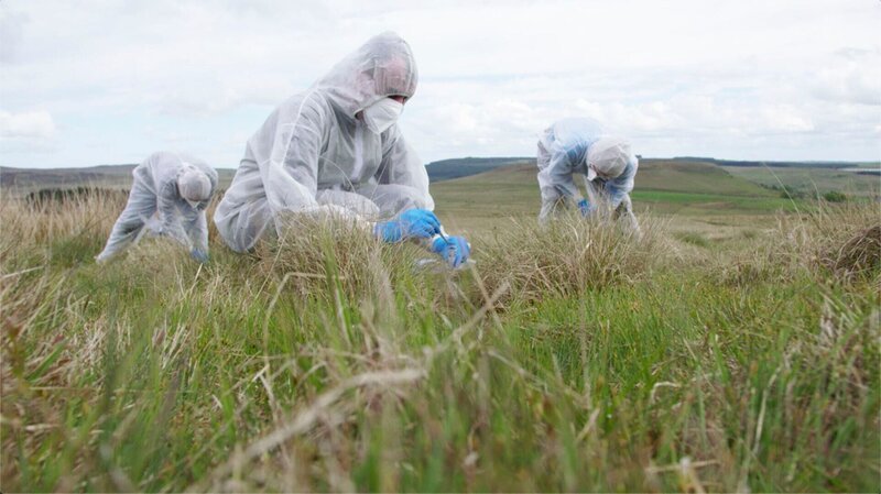 Forensiker auf Spurensuche – Bild: CiFlx /​ Crime + Investigation /​ Liza Chambers