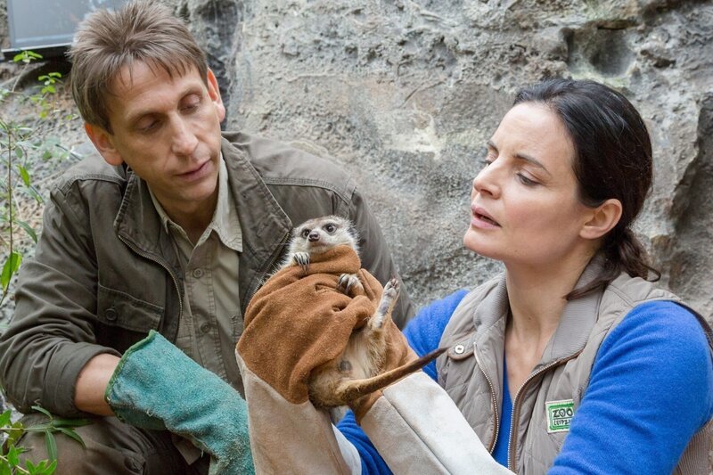 Dr. Susanne Mertens (Elisabeth Lanz) und Cheftierpfleger Conny Weidner (Thorsten Wolf) finden ein verschüttetes Erdmännchen. – Bild: ARD/​BR/​Steffen Junghans