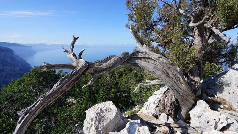 Pferde im Sturm – Bild: 3sat