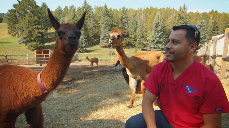 . – Bild: Warner Bros. Discovery