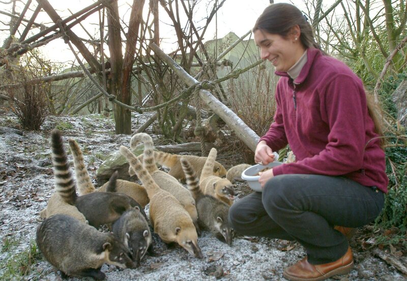 Teresa Willmen bei der Fütterung der Nasenbären. – Bild: BR/​WDR/​Melanie Grande