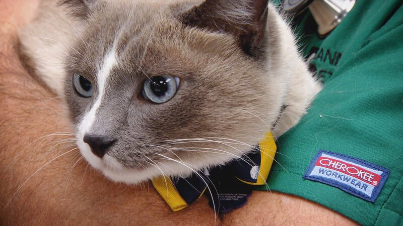 . – Bild: Warner Bros. Discovery