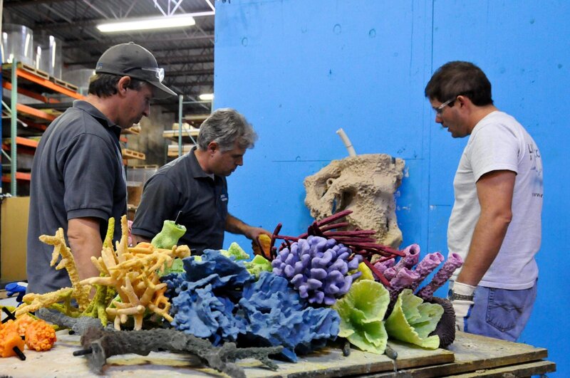 Pacho picking out corals for the reef. – Bild: Christina Mendenhall