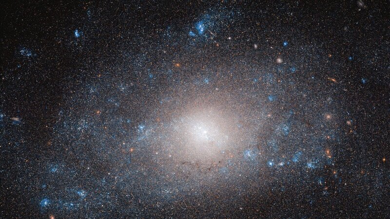 Die Balkenspiralgalaxie NGC 5585, aufgenommen vom Weltraumteleskop Hubble, soll einen ungewöhnlich hohen Anteil Dunkle Materie besitzen. – Bild: ESA/​Hubble & NASA