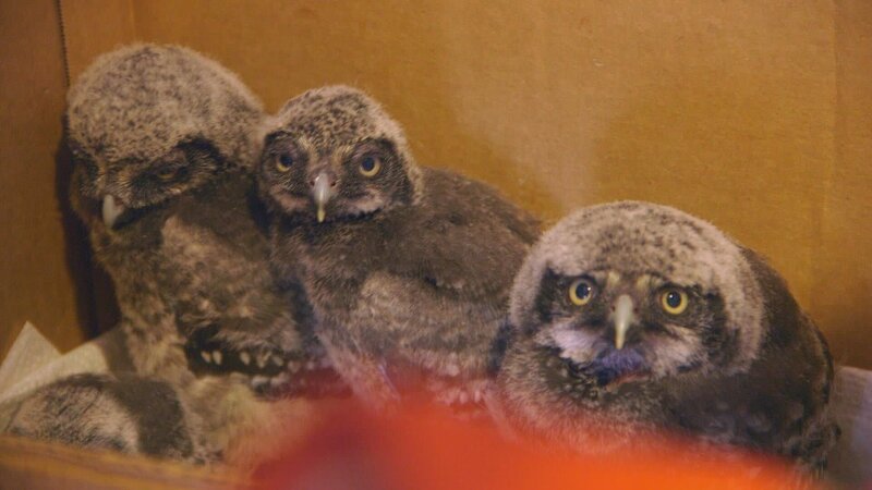 . – Bild: Warner Bros. Discovery