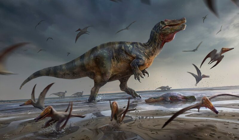 Auf der Isle of Wight entdeckt eine Gruppe von Paläontologen die versteinerten Überreste einer bisher unbekannten Dinosaurierart, die vor 125 Millionen Jahren auf der Insel lebte. MYSTERIOUS ISLANDS nimmt die Zuschauer mit auf eine unvergessliche Entdeckungsreise zu den außergewöhnlichsten und rätselhaftesten Inseln der Welt. – Bild: Anthony Hutchings
