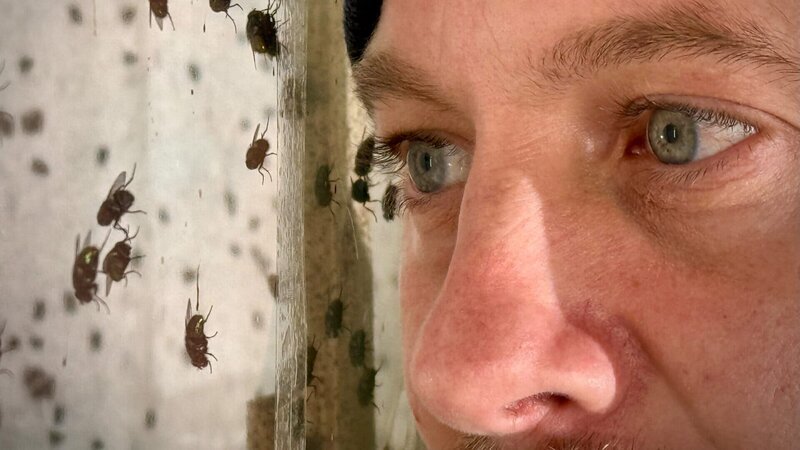 Der Künstler Maximilian Prüfer beobachtet seine wichtigsten Helfer bei „Arbeit“. – Bild: ZDF/Lars Hering Der Künstler Maximilian Prüfer beobachtet seine wichtigsten Helfer bei „Arbeit“. – Bild: ZDF/Lars Hering