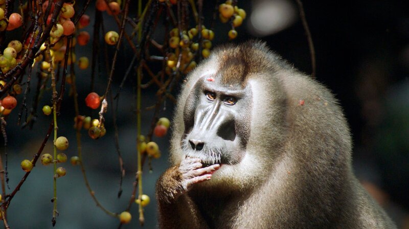 Bild: NDR/​DOCLIGHTS GMBH/​Tania Escobar