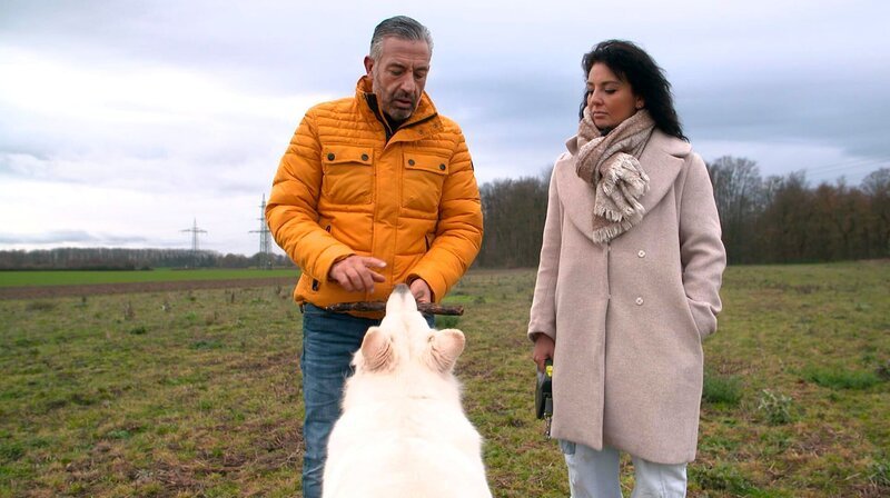Hundecoach Andreas Ohligschläger (l) und Jenny beim Training mit ihrem weißen Schäferhund Snow. – Bild: WDR/​Fernsehkraft UG /​ WDR Kommunikation/​Redaktion Bild