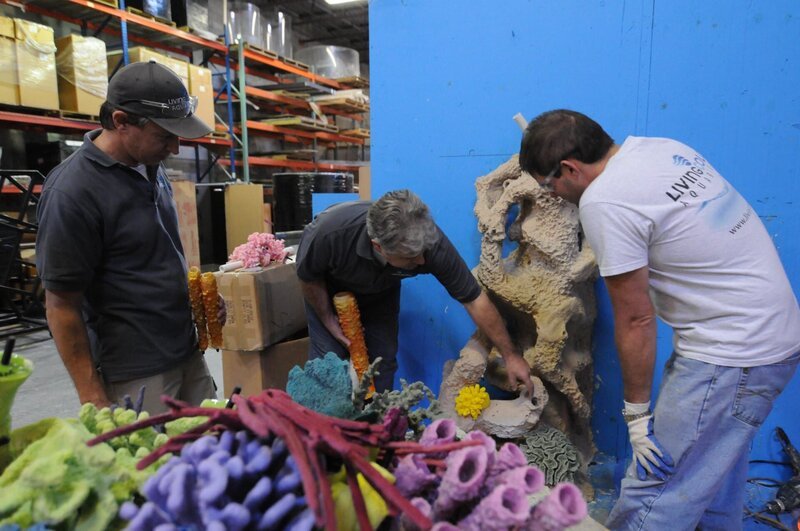 Pacho picking out corals for the reef. – Bild: Christina Mendenhall