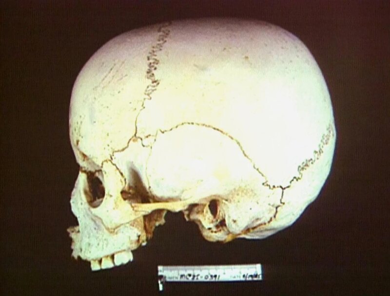 Jahre später findet man das Skelett der kleinen Vicky. Sie wurde von einem Kinderschänder entführt und ermordet. – Bild: RTL NITRO