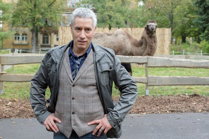 Der neue Zoodirektor Dr. Roman Blum (Ralph Herforth). – Bild: ARD/​Steffen Junghans
