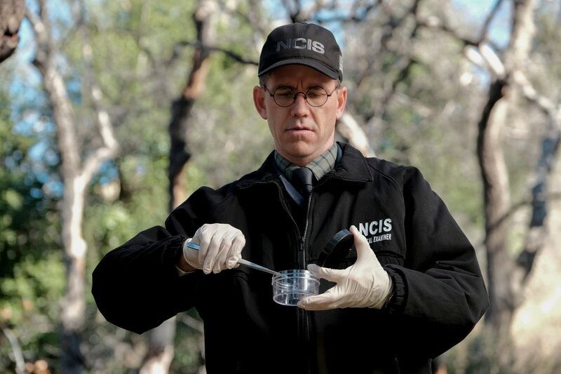 Brian Dietzen as Medical Examiner Jimmy Palmer – Bild: MMXVI by CBS Studios Inc.