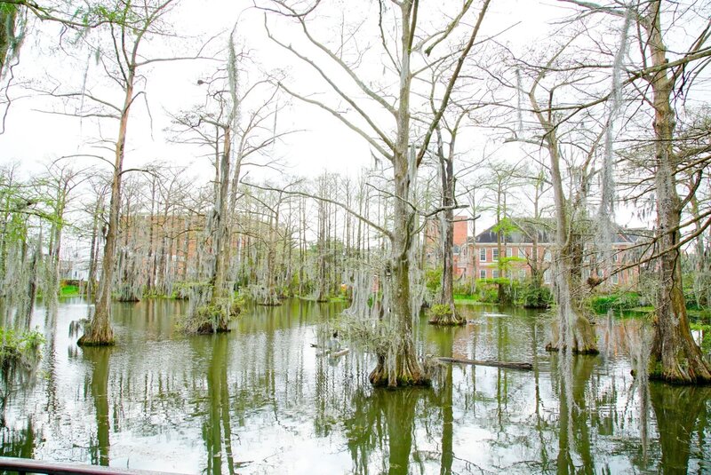 Cypress Lake an der University of Louisiana in Lafayette. – Bild: ORF/​Warner/​The Travel Channel