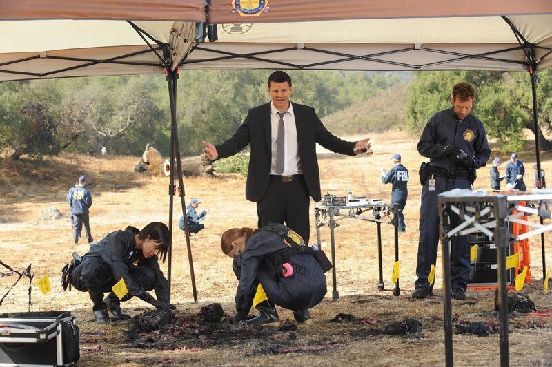 L-R: Seeley Booth (David Boreanaz), Camille Saroyan (Tamara Taylor), Temperance Brennan (Emily Deschanel) und Jack Hodgins (TJ Thyne) – Bild: Fox