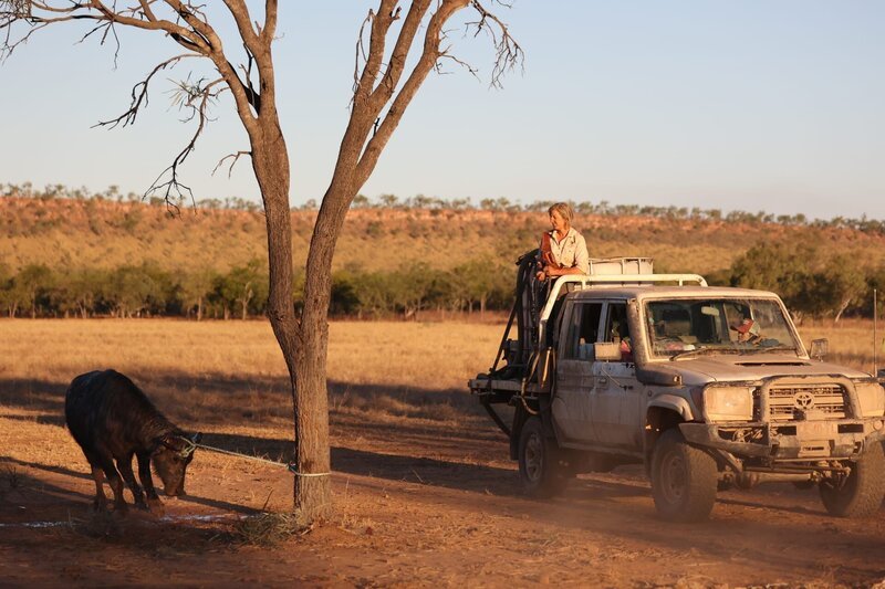 Bild: Ronde, ABC, Screen Territory, Screen NSW and Screen Australia