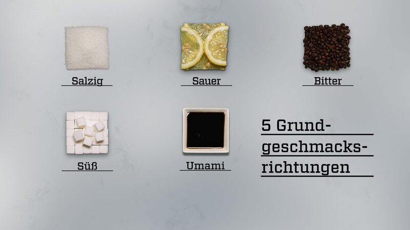 Mit der Zunge kann zwischen fünf Grundgeschmacksrichtungen unterschieden werden: süß, sauer, salzig, bitter und umami. – Bild: ZDF und DBcom Media/​DBC2