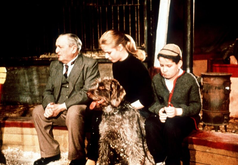 Solang' die Sterne glüh'n – Bild: ORF/​EOS Entertainment