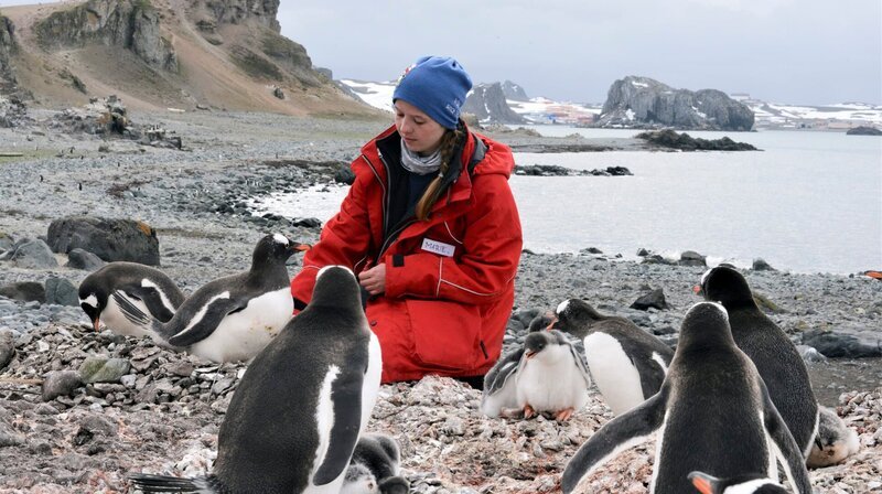 Auch deutsche Forscher sind in jedem antarktischen Sommer auf King George Island. Marie-Charlott Rümmler bei einem wissenschaftlichen Experiment auf der Insel der Pinguine. – Bild: NDR/​Vision Airways/​Joanna Michna