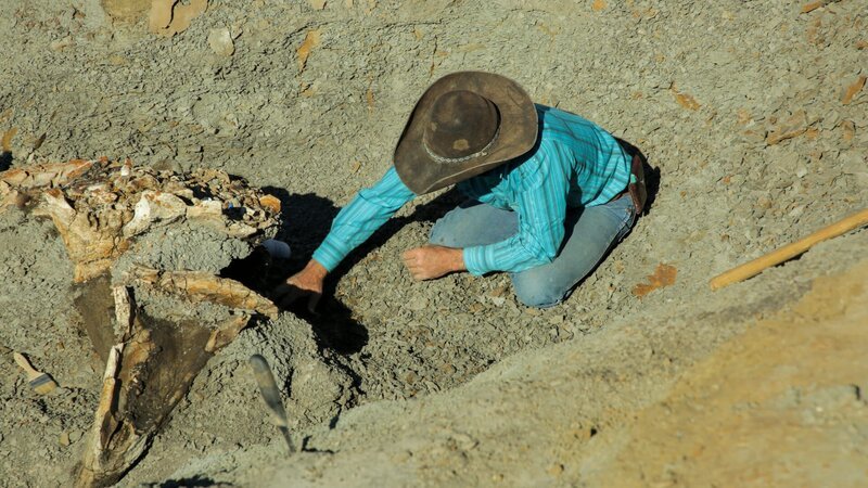 Clayton touching Triceratops bones – Bild: Discovery Communications, LLC