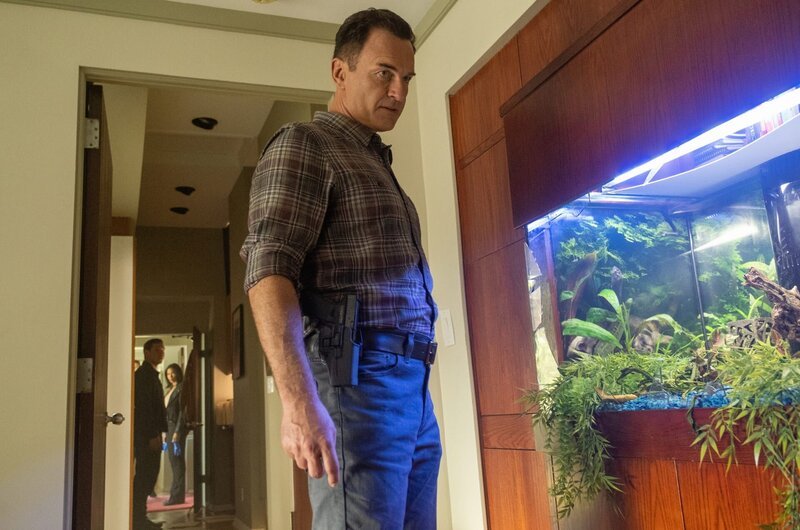 Jess LaCroix (Julian McMahon) – Bild: 2020 CBS Broadcasting Inc. All Rights Reserved. /​ Jeff Neumann Lizenzbild frei