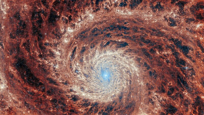 Die Galaxie M51 wird hier vom Mittelinfrarot-Instrument (MIRI) des James-Webb-Teleskops aufgenommen. Man nimmt an, dass die Schwerkraft ihrer Nachbargalaxie, der Zwerggalaxie NGC 5195, teilweise für diese markanten und ausgeprägten Spiralarme verantwortlich ist. – Bild: NASA/​Axel Springer Deutschland GmbH
