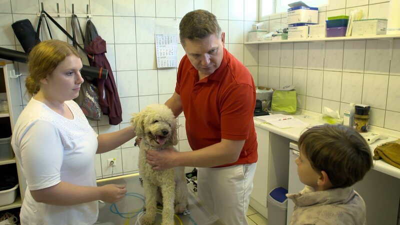 Der Tierarzt stellt bei Curly ein Nebengeräusch am Herzen fest. – Bild: MDR/​Andrea Gentsch