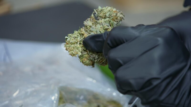 Bild: 2020 NGC Network US, LLC Lizenzbild frei