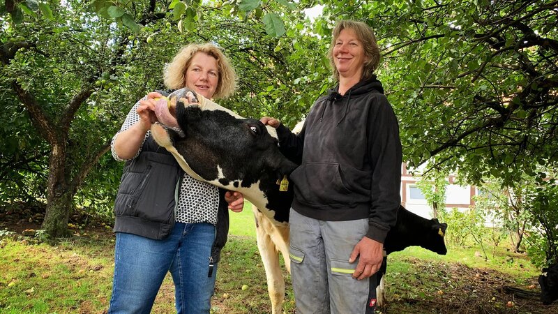 . – Bild: Warner Bros. Discovery