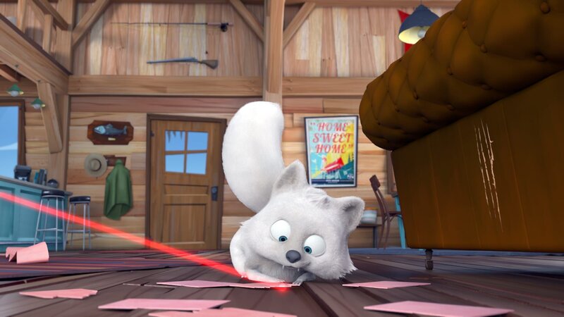 Waschbär – Bild: Hari Productions