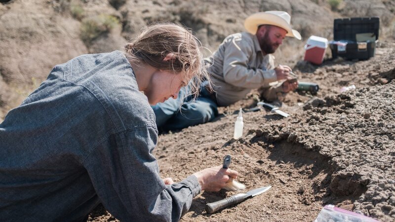 Close upside view of Victoria Long digging for bones – Bild: Randall Perez /​ Discovery Channel /​ Discovery Communications, LLC