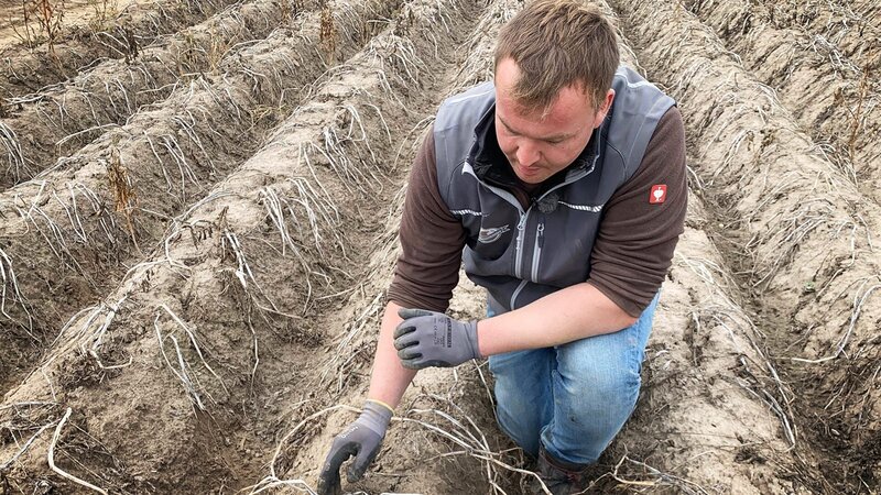 . – Bild: Warner Bros. Discovery