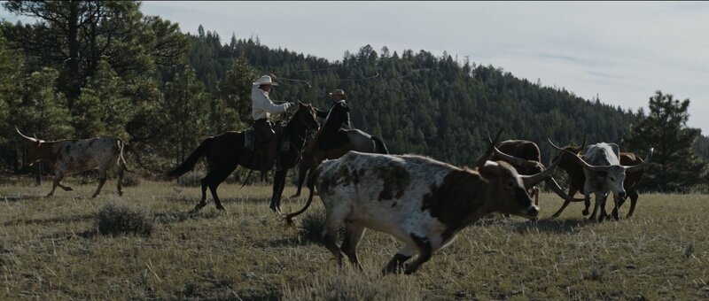 Die Vereinigten Staaten mussten die Ost- und Westküste miteinander verbinden. Die Lösung: eine transkontinentale Eisenbahnlinie. Zwei Eisenbahngesellschaften, die Union Pacific und die Central Pacific, wurden mit dem Bau der Strecke beauftragt.  +++ – Bild: RTL /​ MMXXIII Dash Pictures Holdings Ltd /​ Die Cowboys