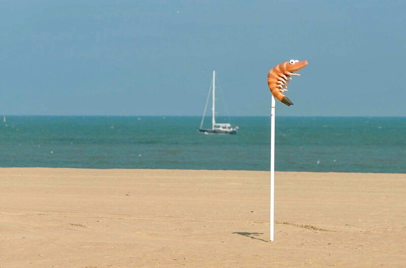 Die Nordseegarnele oder Graue Krabbe im Fokus: Unweit der Grenze zu Frankreich liegt die flämische Gemeinde Koksijde an der belgischen Küste. – Bild: Elephant Doc